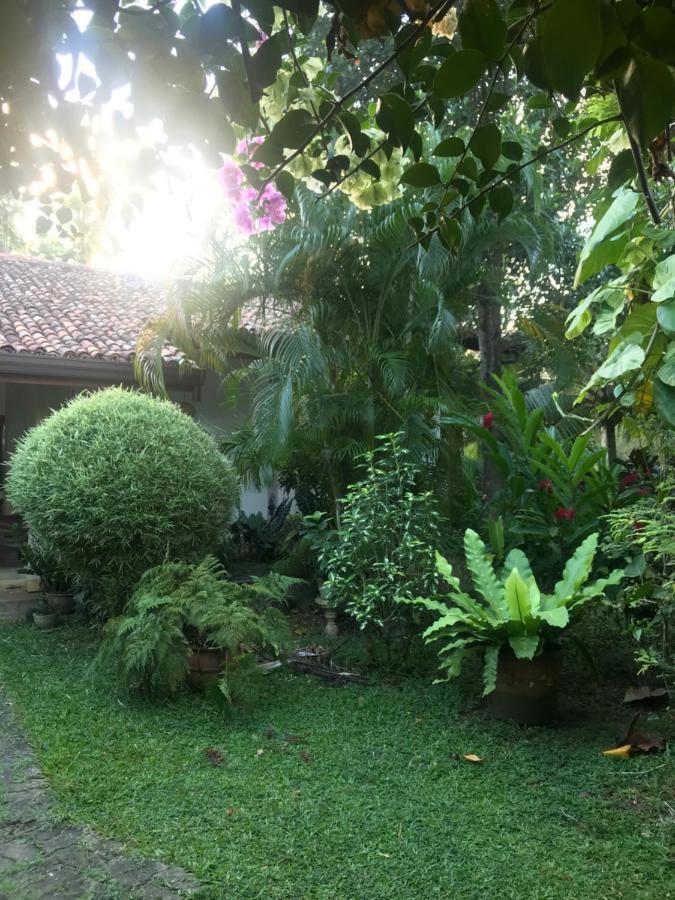 Tangalle Green House Bagian luar foto