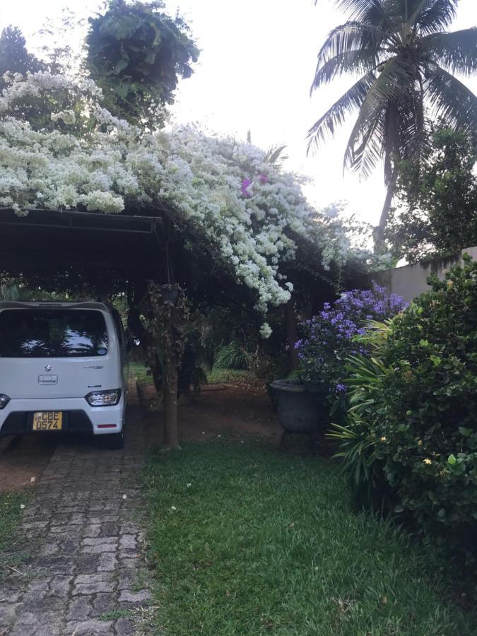 Tangalle Green House Bagian luar foto