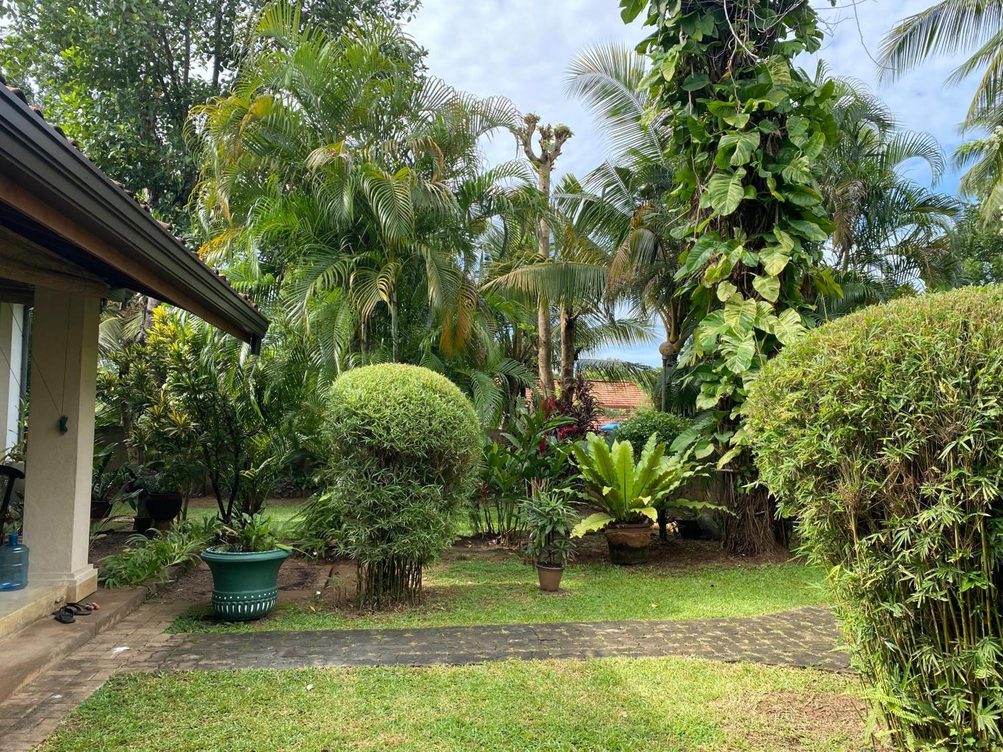 Tangalle Green House Bagian luar foto