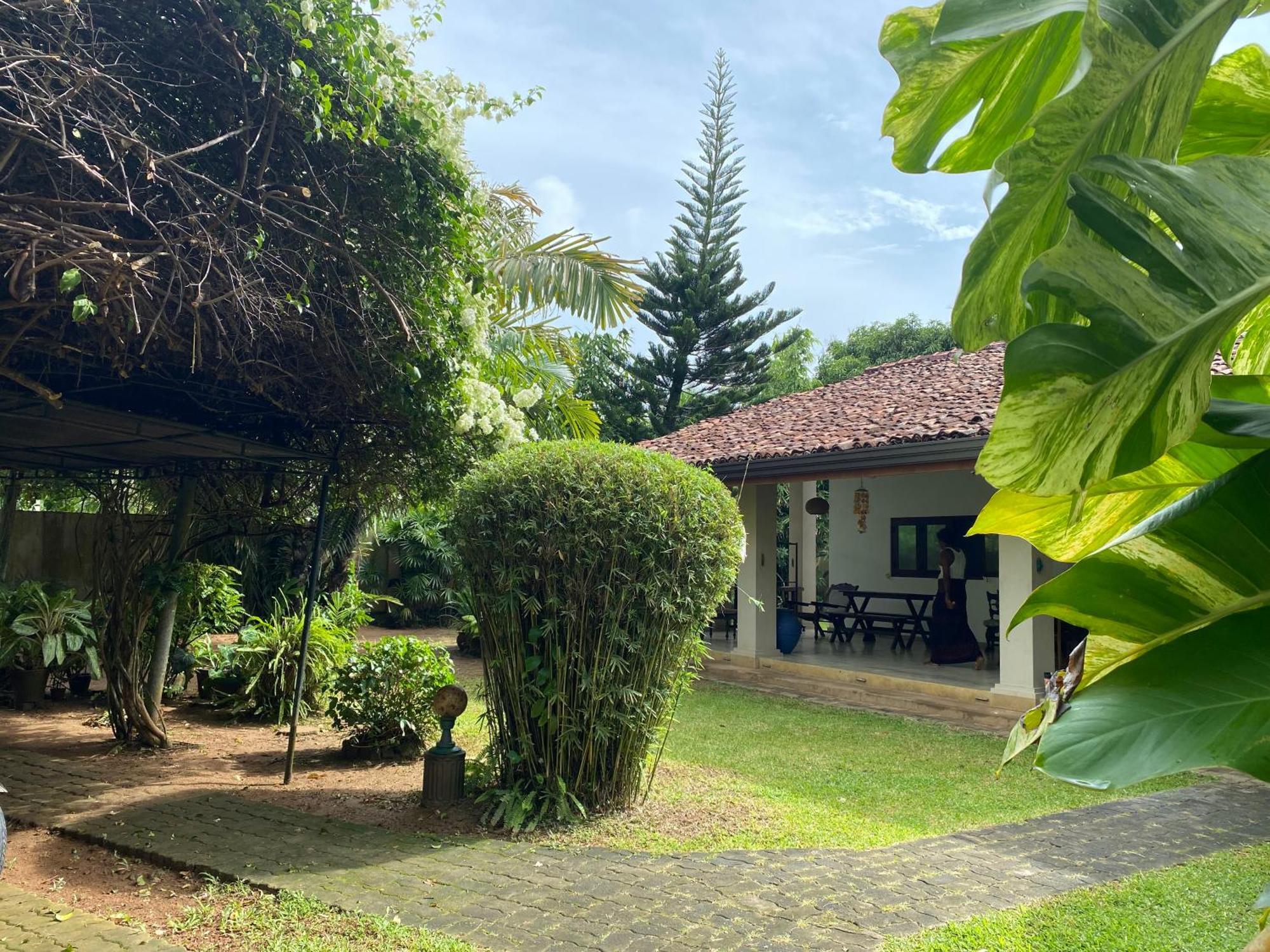 Tangalle Green House Bagian luar foto