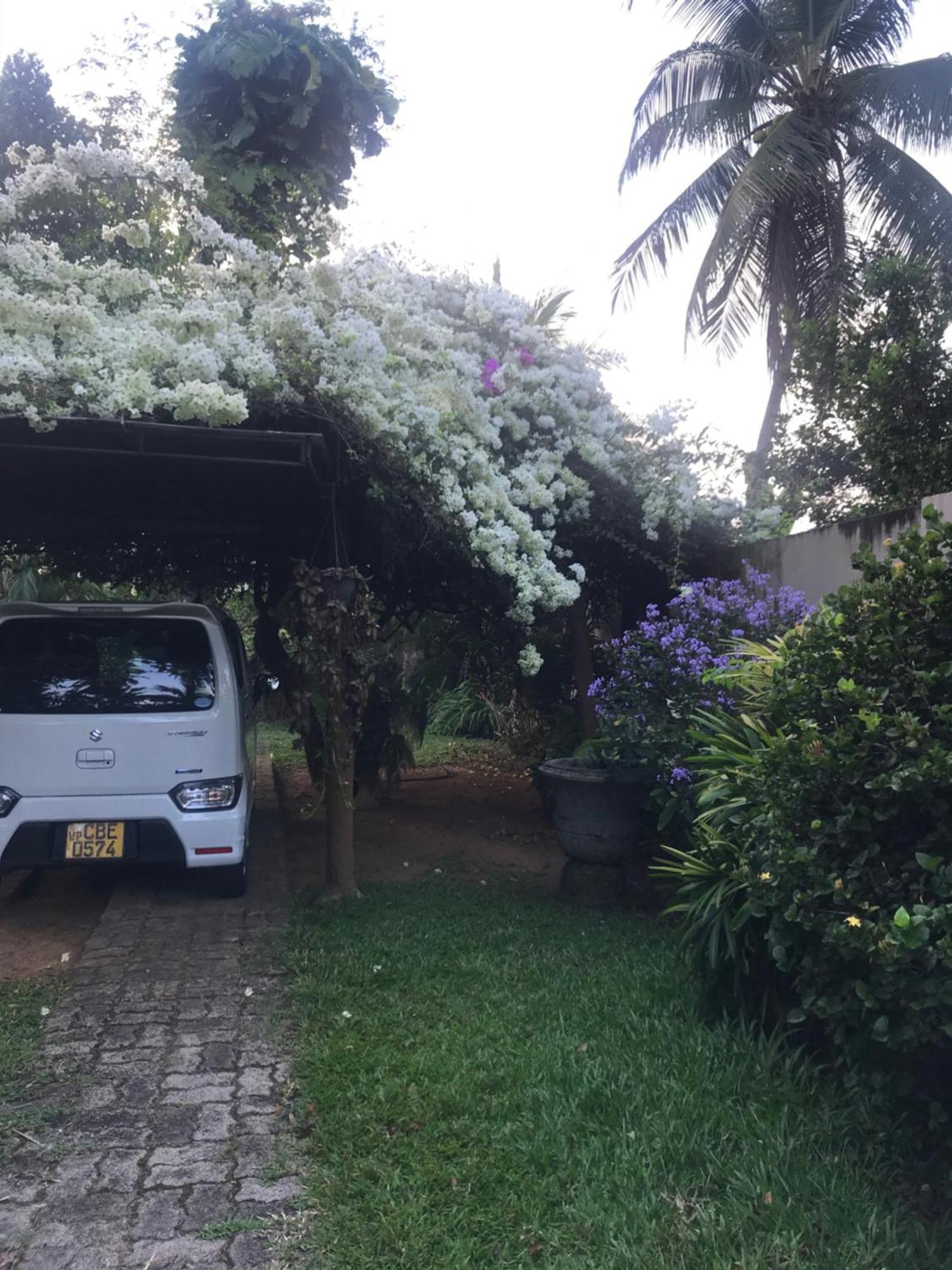 Tangalle Green House Bagian luar foto