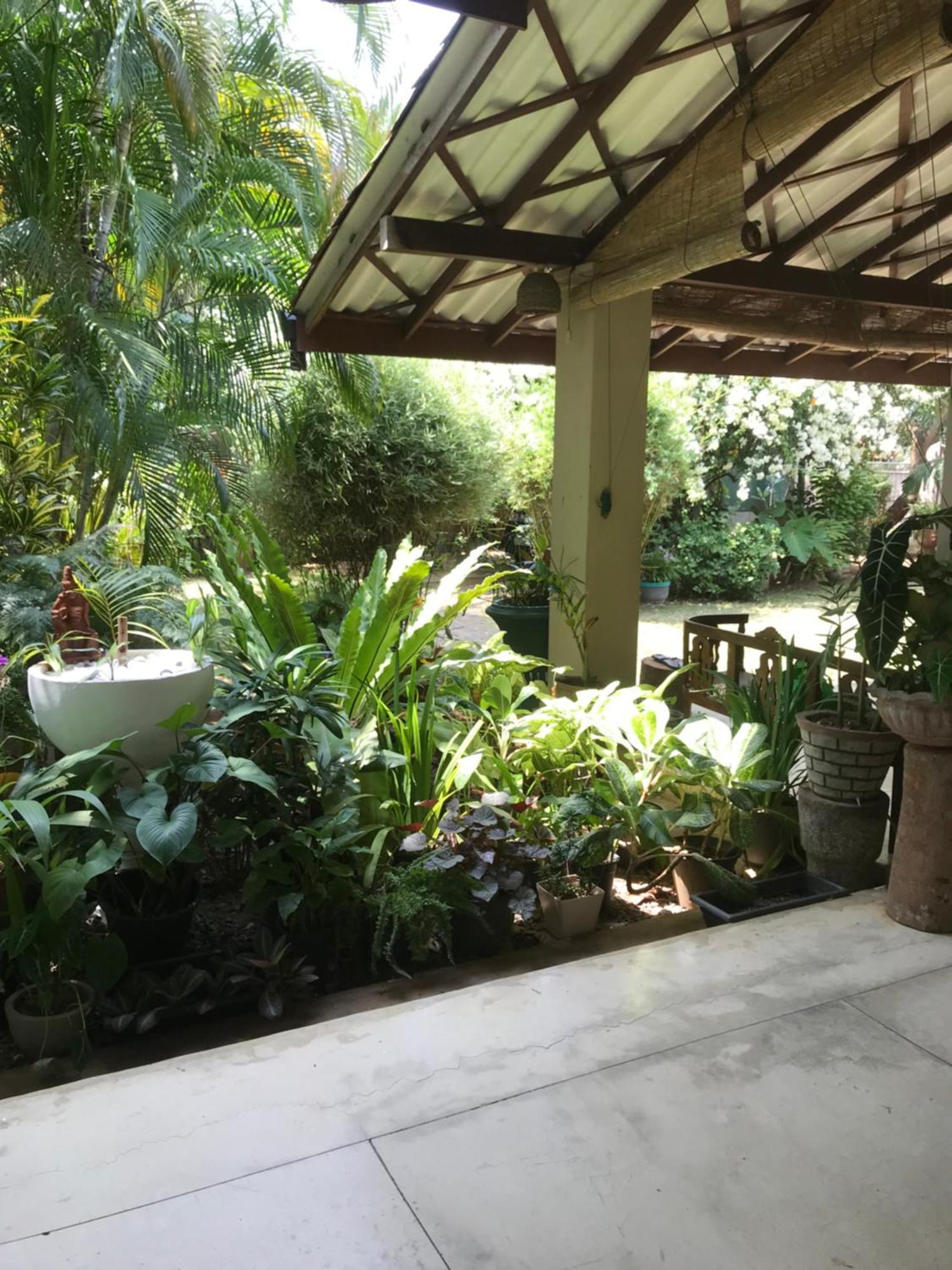 Tangalle Green House Bagian luar foto