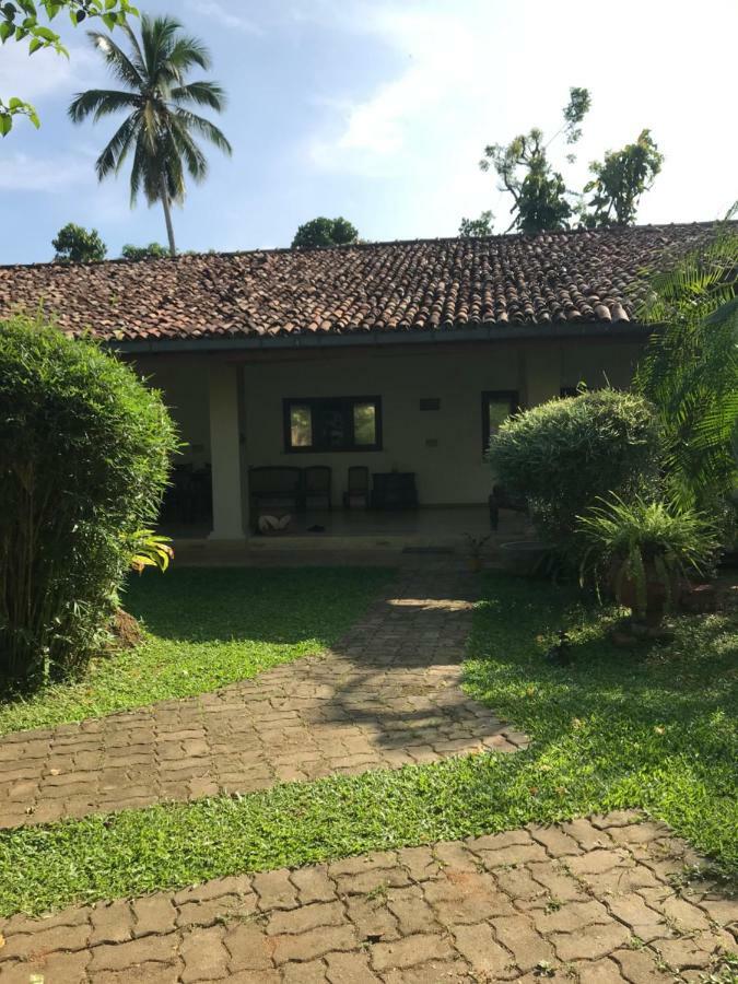 Tangalle Green House Bagian luar foto