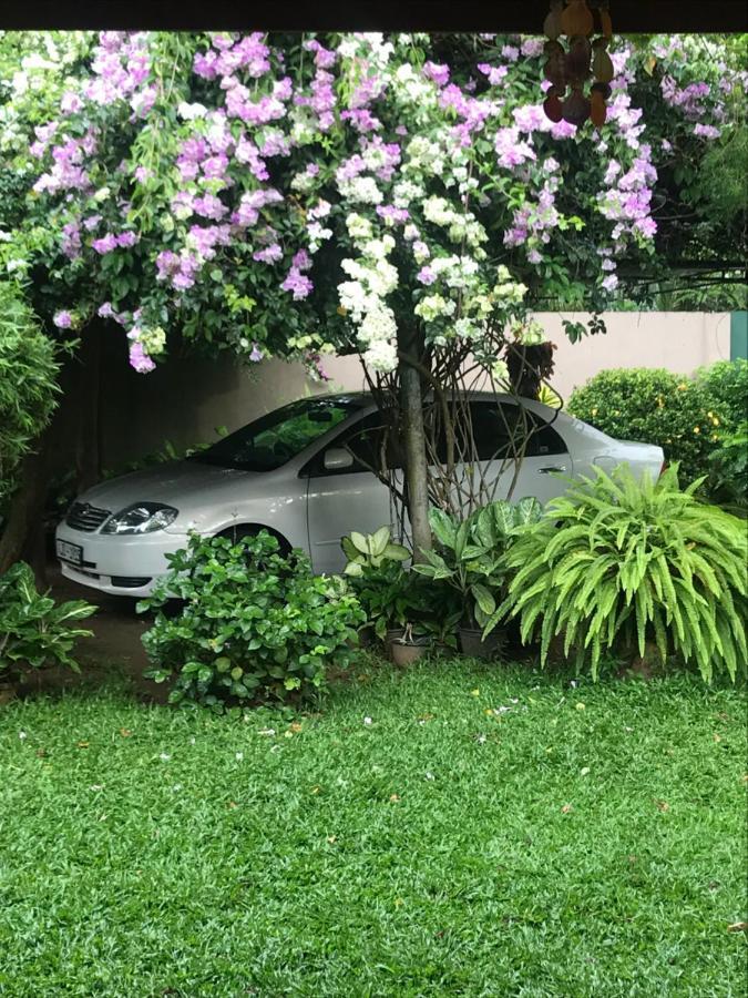 Tangalle Green House Bagian luar foto